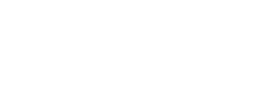 A WordPress Site
